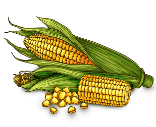 mixed vegetables-corn-min